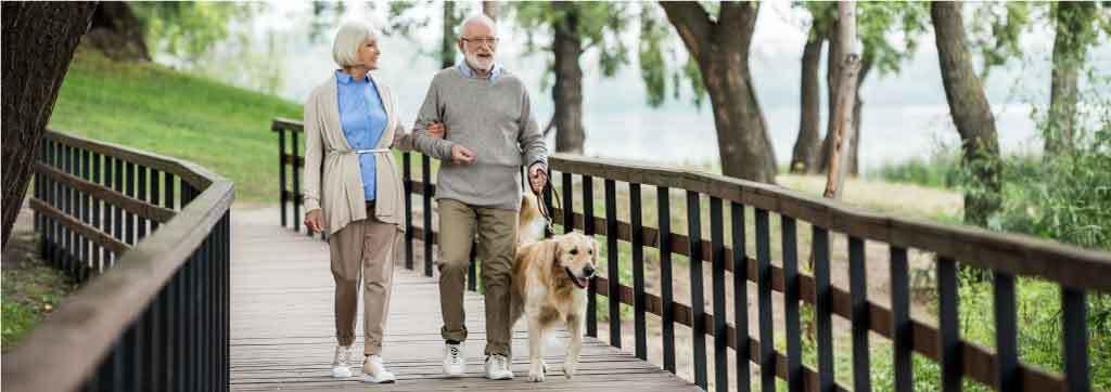 Senior couple walking their dog over park bridge